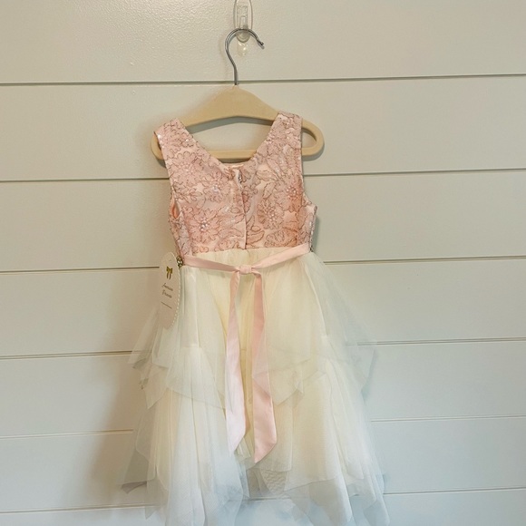 American Princess Dress Pink/White/Gold Accents - Picture 2 of 5